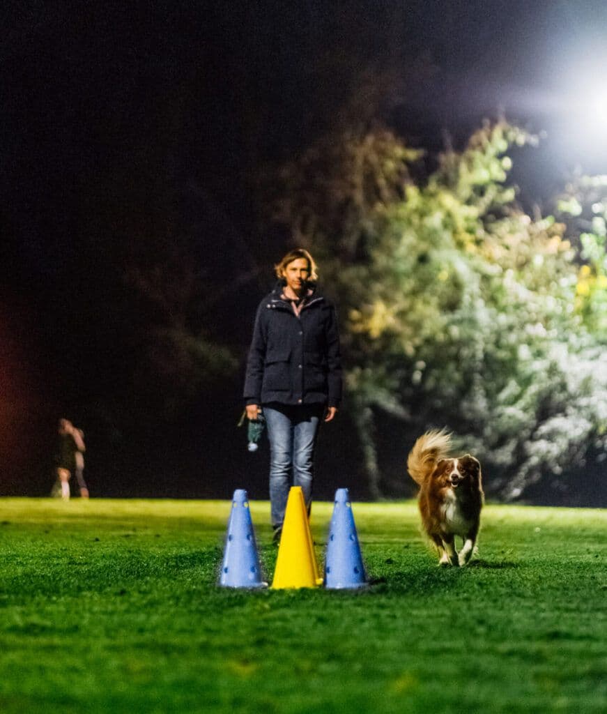 Obedience Training beim PHV Karlsruhe